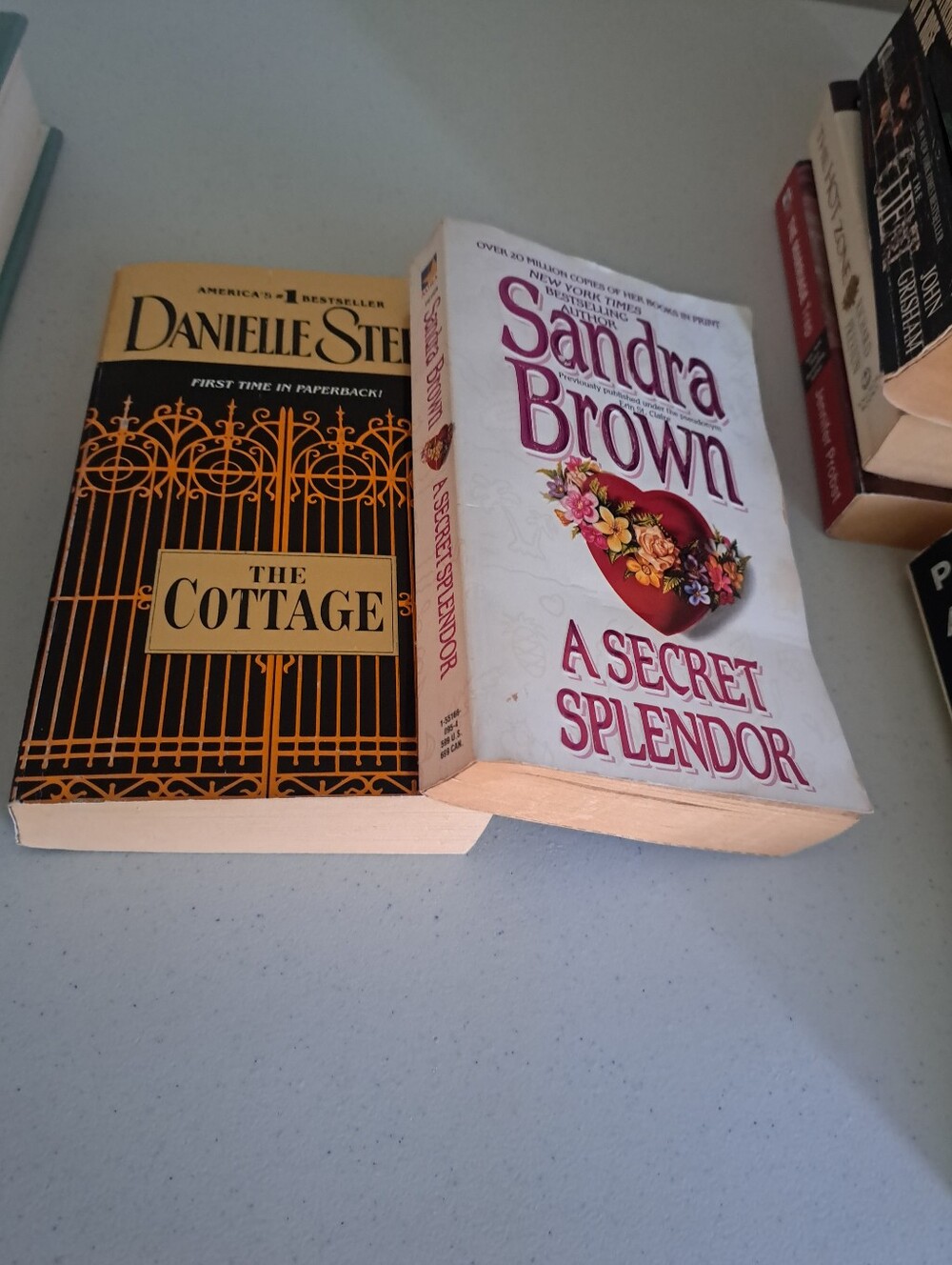 A Secret Splendor - White Paperback Novel